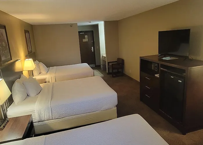 Quality Mini-hôtel 2*